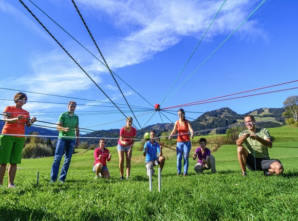 Networking in der Natur