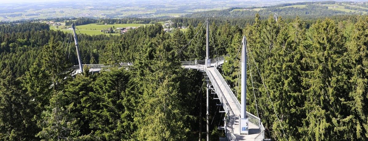 Reisegruppen in den skywalk allgäu