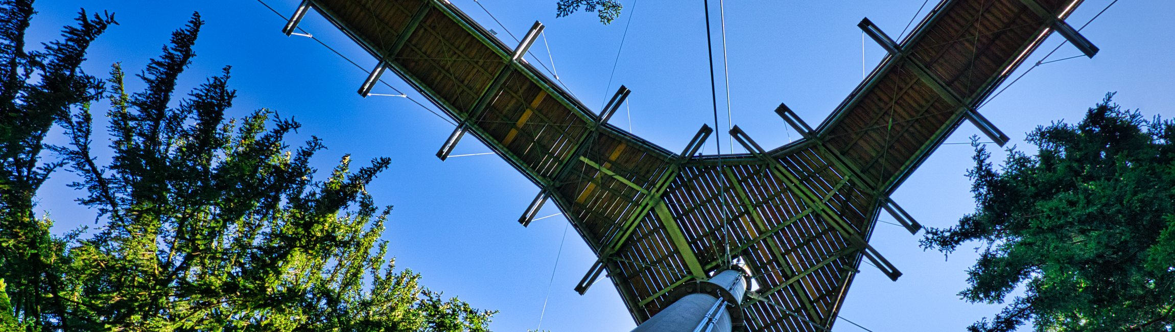 Funfacts rund um den skywalk allgäu -0