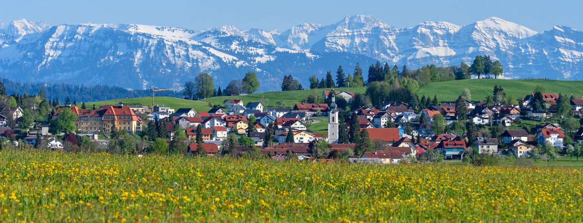 Rund um Scheidegg