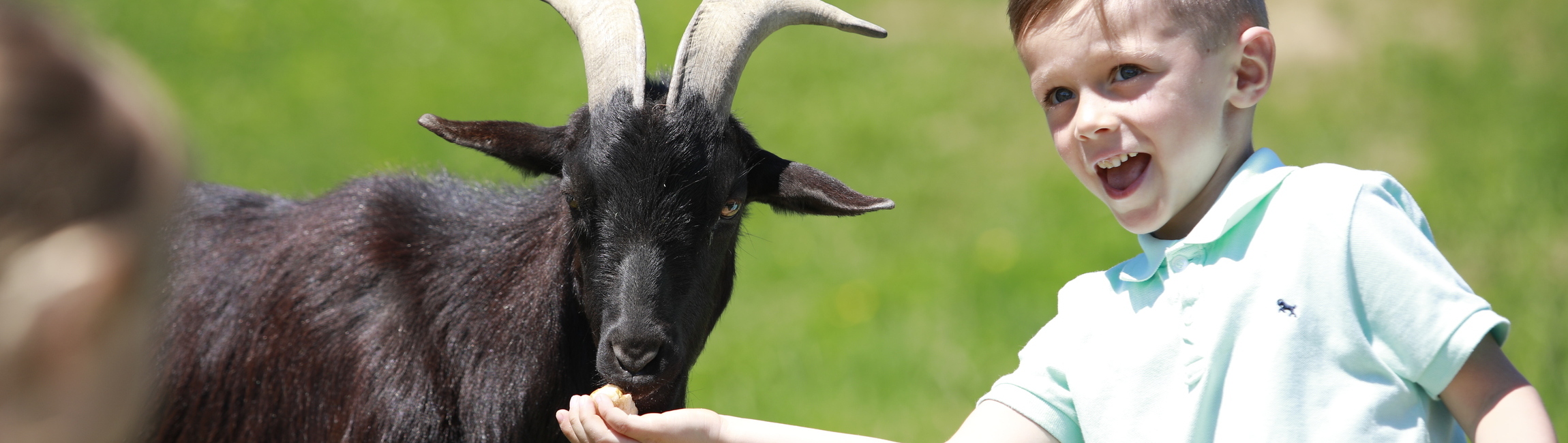 Unser Streichelzoo freut sich auf Deinen Besuch