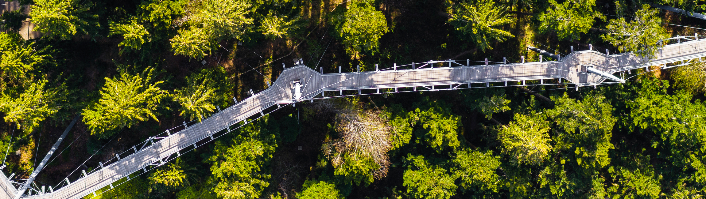 Bunte Herbstzeit im skywalk allgäu