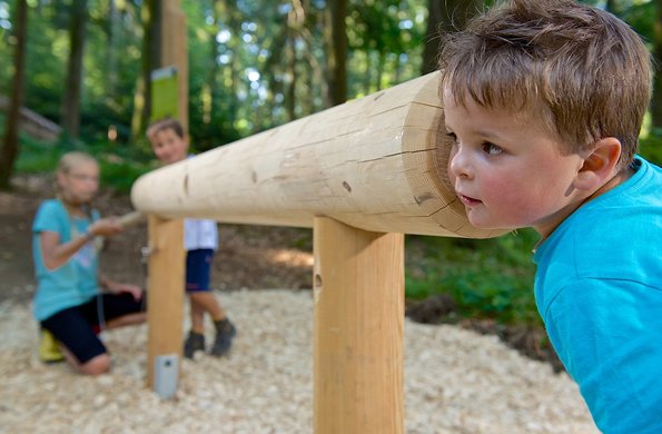 Walderlebnispfad für Entdecker