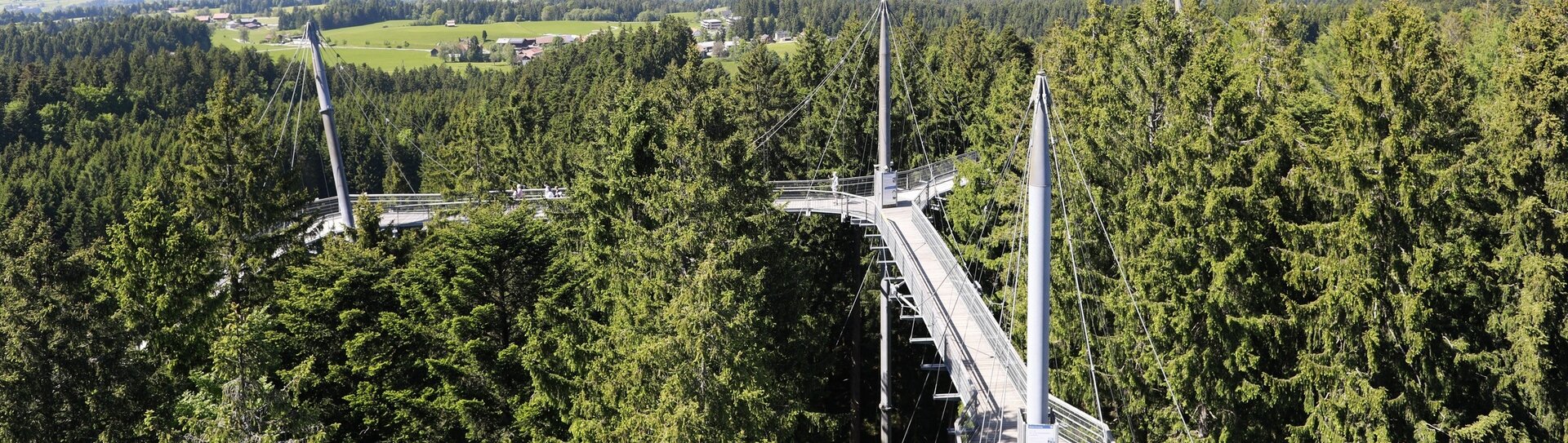 Baumwipfelpfad skywalk allgäu