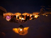 Stimmungsvolle Waldweihnacht