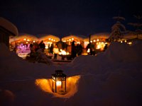 Stimmungsvolle Waldweihnacht