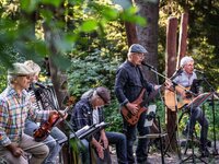 Waldkonzert mit den Lanigans